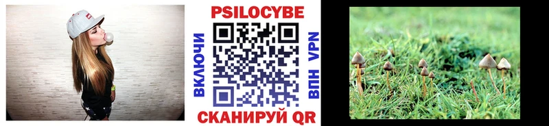 Псилоцибиновые грибы Cubensis  купить   Бакал 